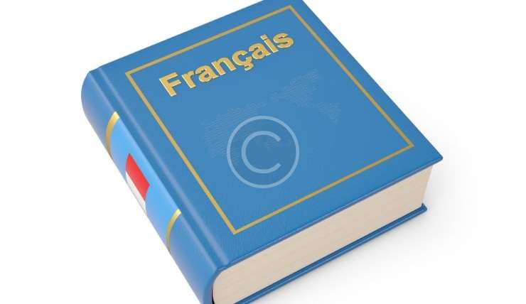 French Advanced Course